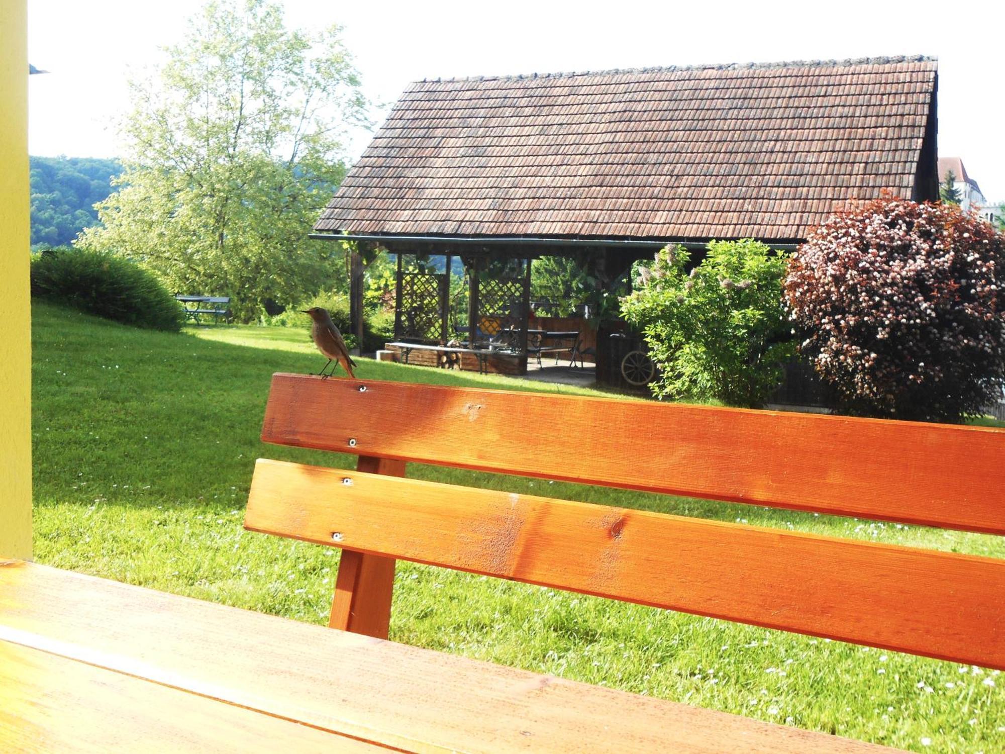 Ferienwohnungen Karin Am Seggauberg Leibnitz Esterno foto