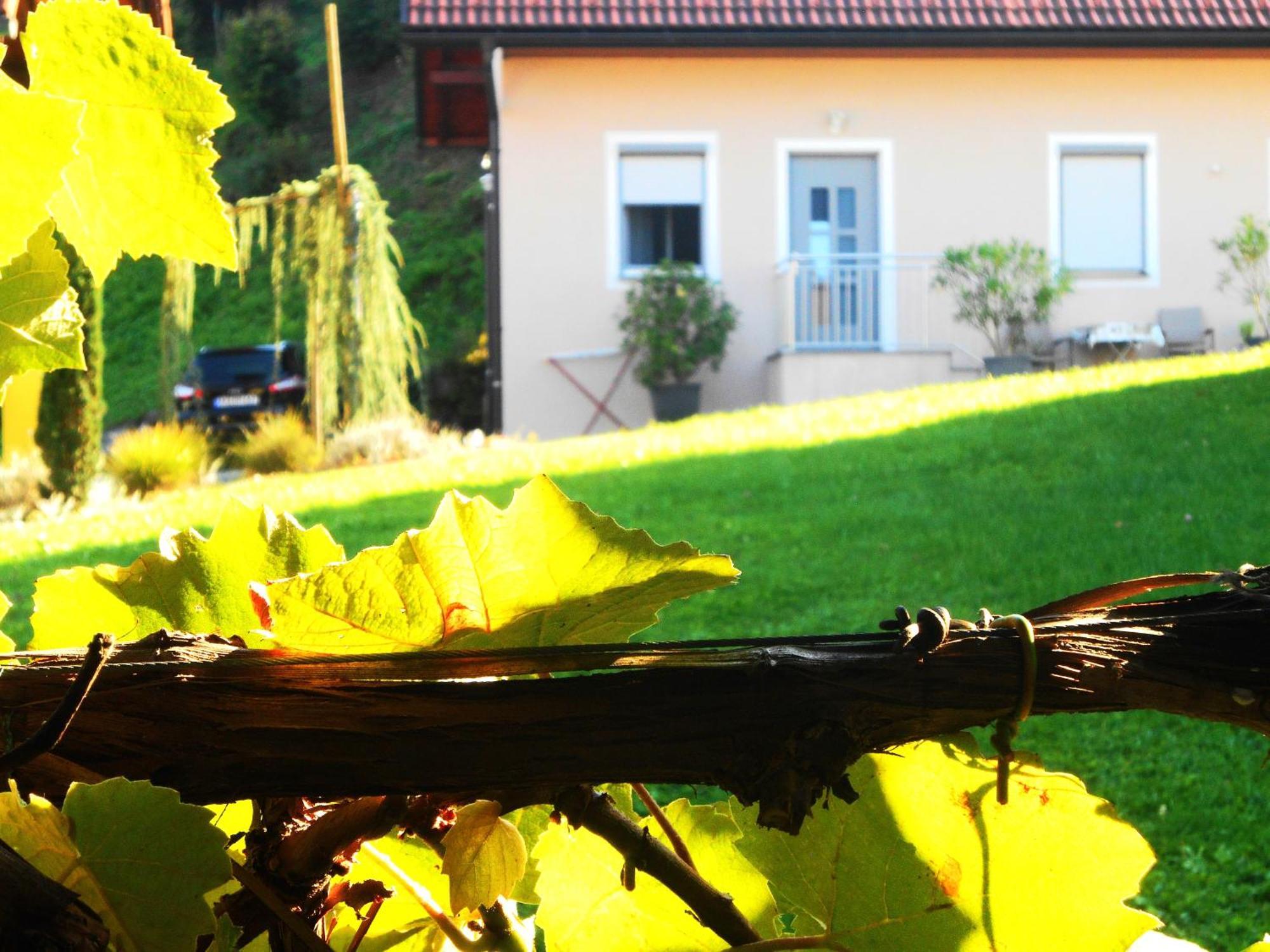 Ferienwohnungen Karin Am Seggauberg Leibnitz Esterno foto