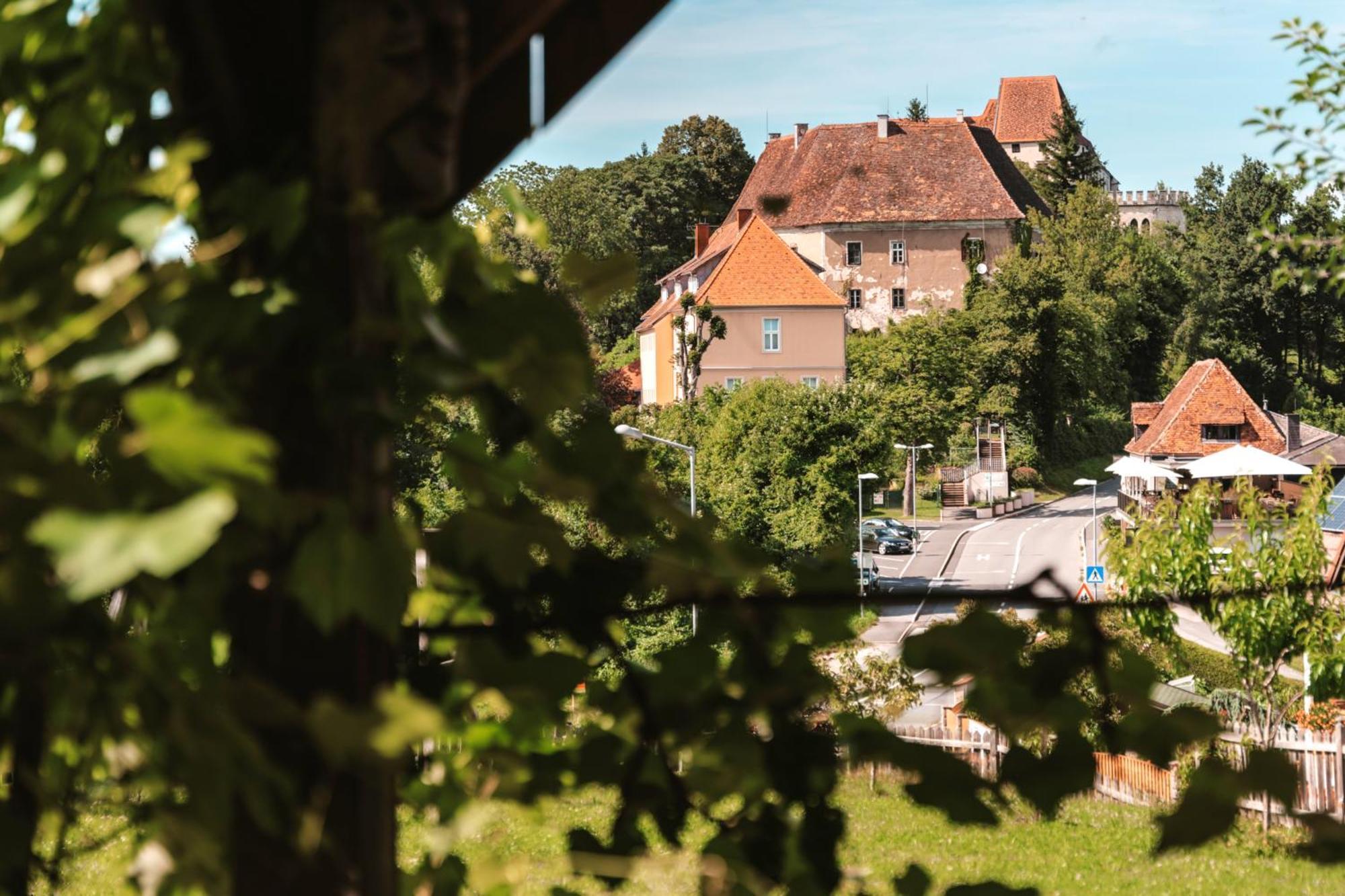 Ferienwohnungen Karin Am Seggauberg Leibnitz Esterno foto